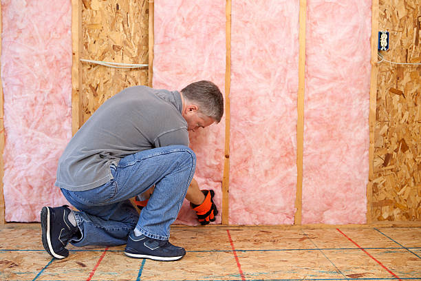 Best Geographic-Specific Insulation Services in Vero Beach South, FL